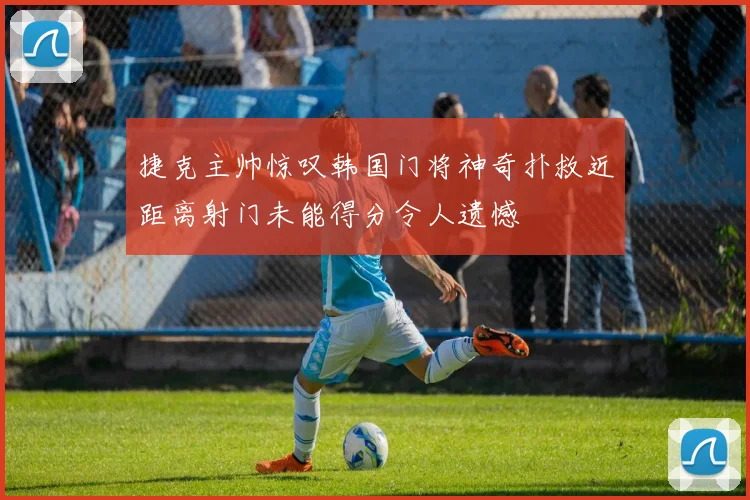 捷克主帅惊叹韩国门将神奇扑救近距离射门未能得分令人遗憾