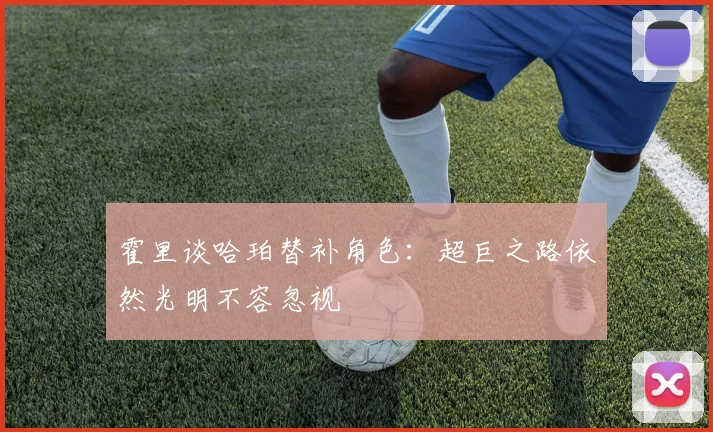 霍里谈哈珀替补角色：超巨之路依然光明不容忽视