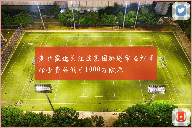 多特蒙德关注波黑国脚塔希洛维奇转会费或低于1000万欧元