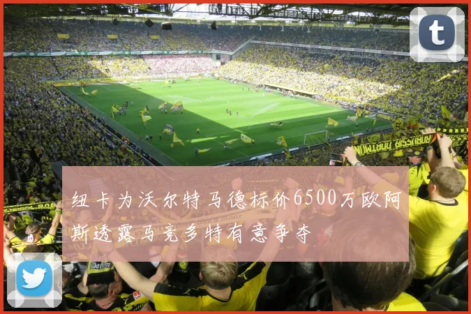 纽卡为沃尔特马德标价6500万欧阿斯透露马竞多特有意争夺
