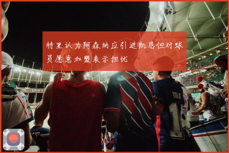 特里认为阿森纳应引进凯恩但对球员愿意加盟表示担忧